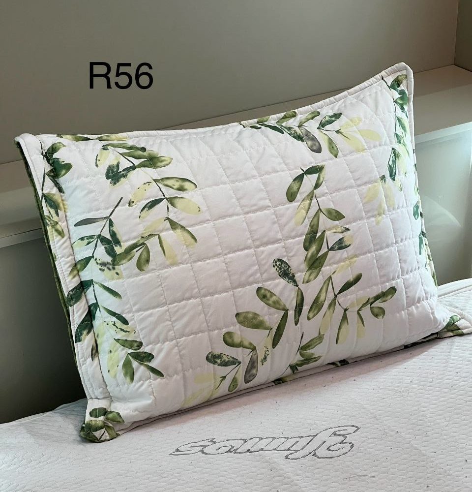 روبالش یک عددی کد R56