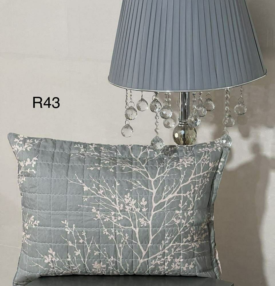 روبالش یک عددی کد R43