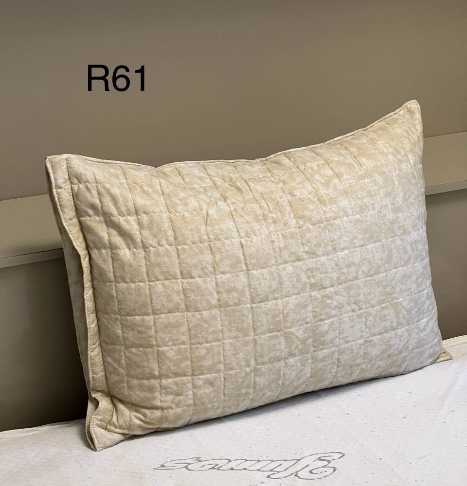 روبالش یک عددی کد R61